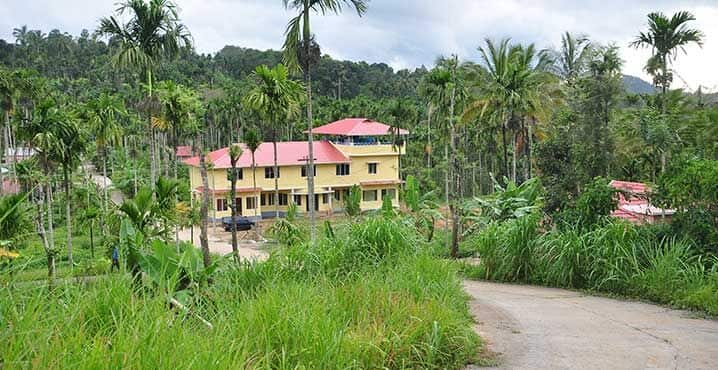 Palm Resort, Gudalur 1